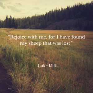 “Rejoice with me, for I have found my sheep that was lost”